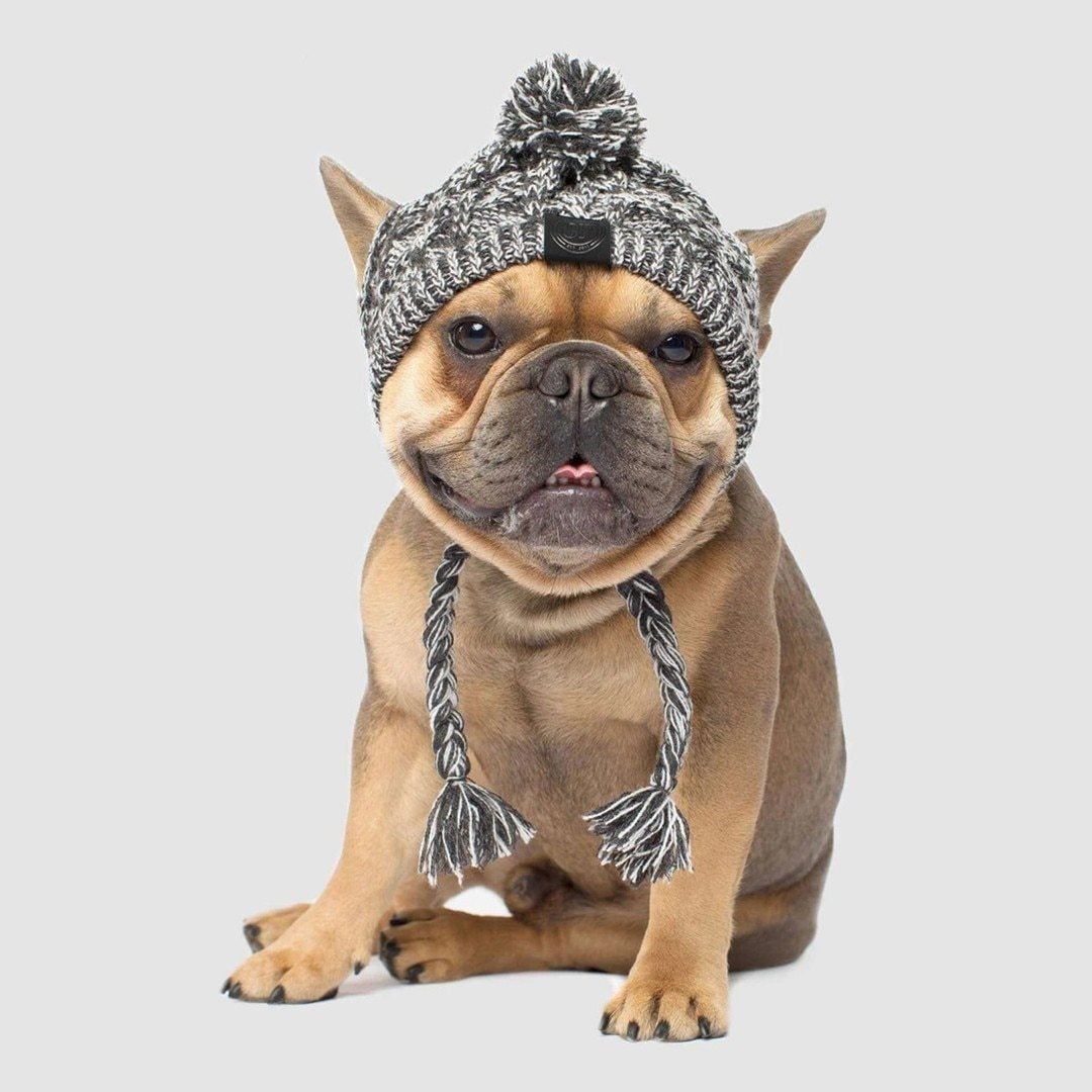 Windproof Knit Hat for Dogs – photo 7