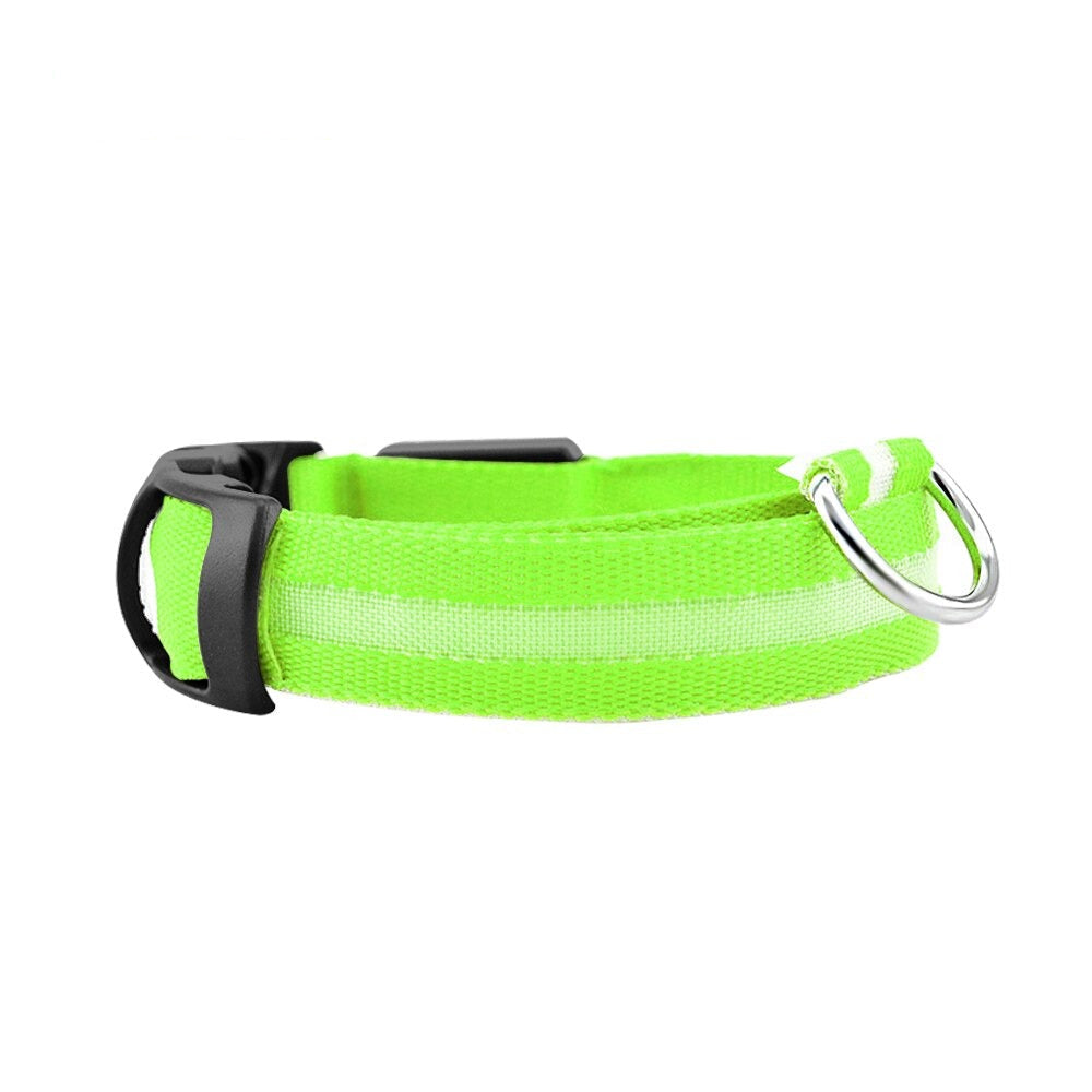 LED Dog Safety Collar Night Glow for Safe Night Walking