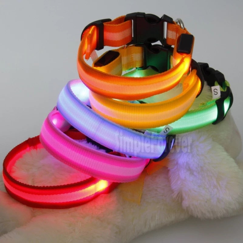 LED Dog Safety Collar – Night Glow – photo 6