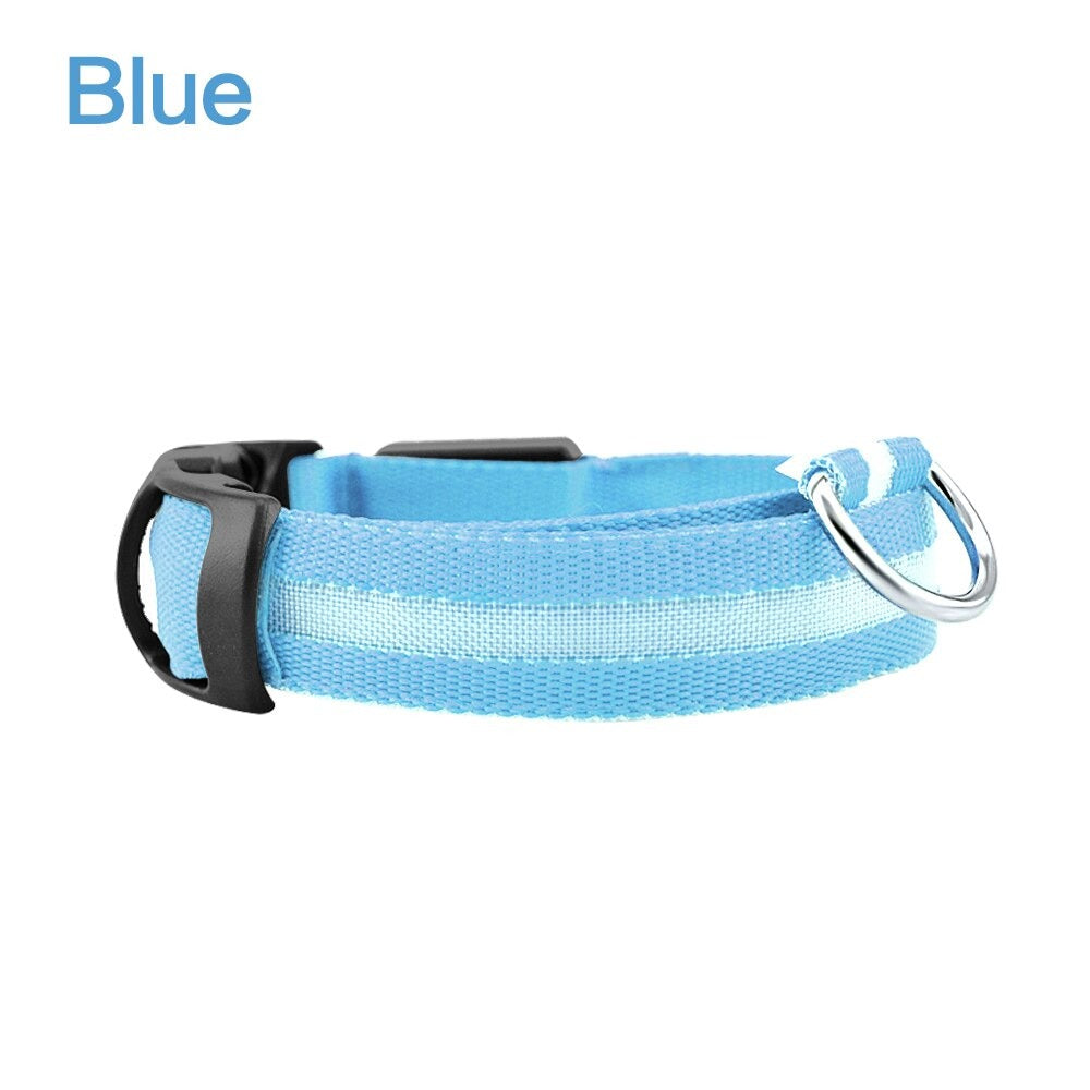 LED Dog Safety Collar – Night Glow – photo 9