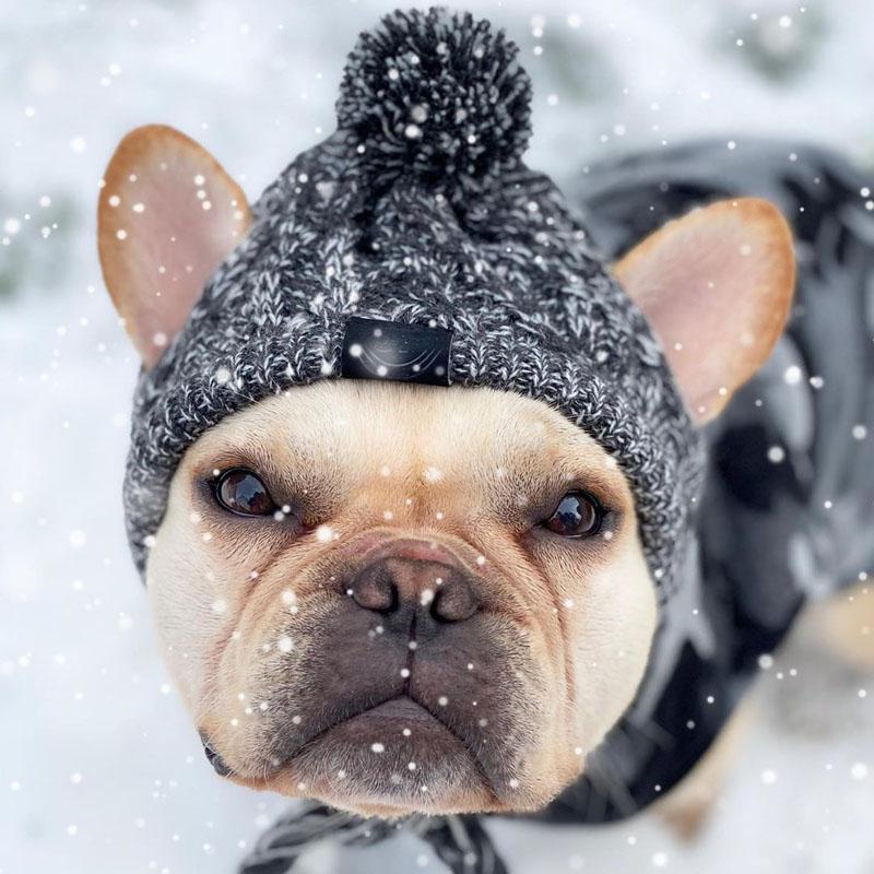 Windproof Knit Hat for Dogs – photo 5