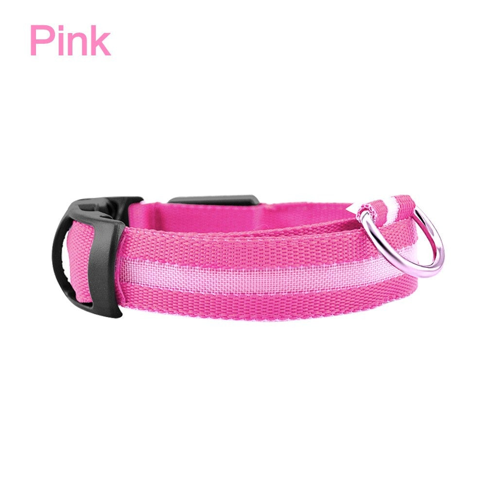 LED Dog Safety Collar – Night Glow – photo 2