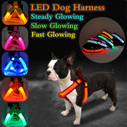 LED Nylon Pet Safety Harness – photo 3