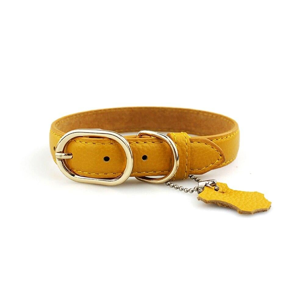 Classic Leather Dog Collar with Hangtag – photo 2