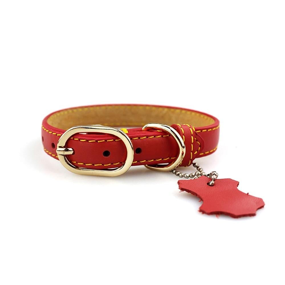 Classic Leather Dog Collar with Hangtag – photo 5