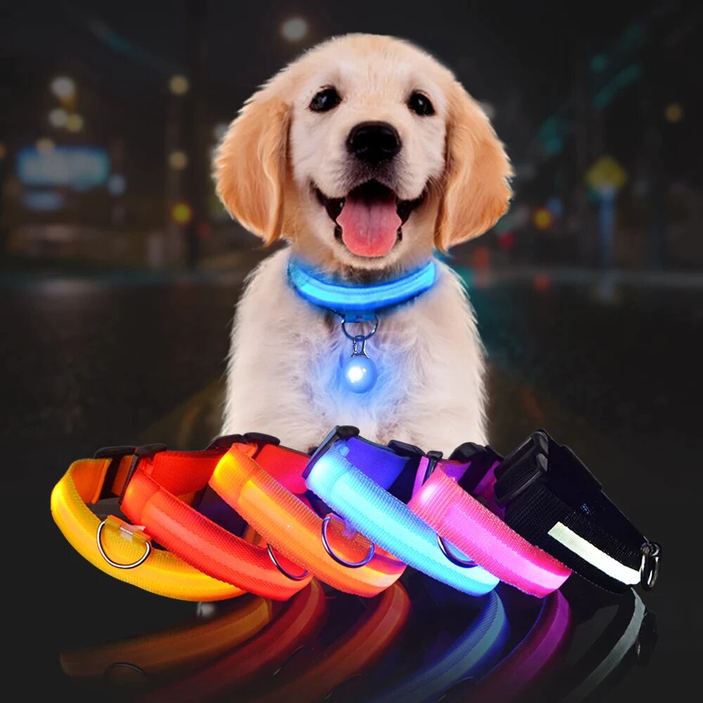 LED Dog Safety Collar – Night Glow – photo 5