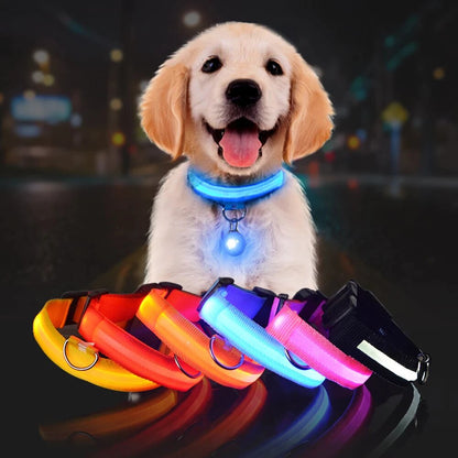 LED Dog Safety Collar – Night Glow – photo 5