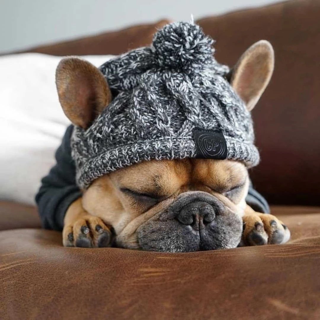 Windproof Knit Hat for Dogs – photo 4