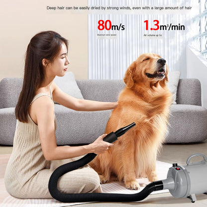 High-Power Pet Blow Dryer for Large Dogs – photo 4