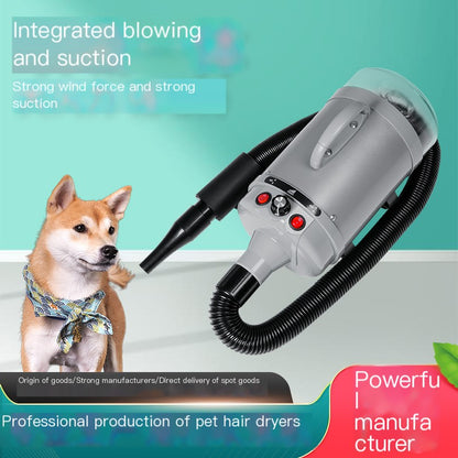 High-Power Pet Blow Dryer for Large Dogs – photo 9