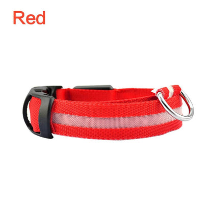 LED Dog Safety Collar – Night Glow – photo 3